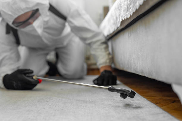 Professional Bed Bug Control technician working in Whitehall, WI